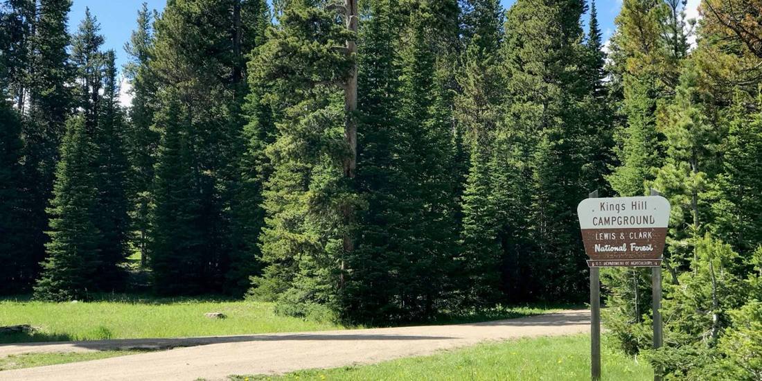 Kings Hill Campground sign among tall pines