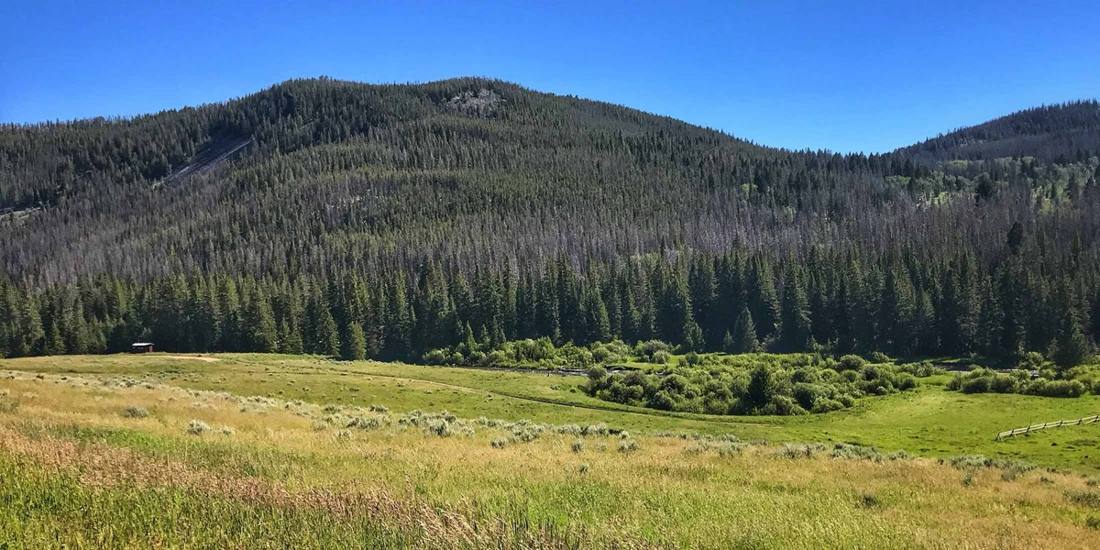 Green meadow below timbered hills along Sheep Creek